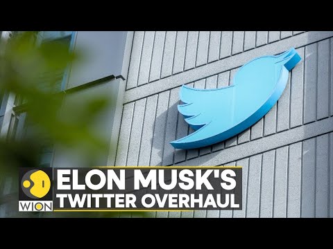 Elon Musk's Twitter overhaul: Report says dozens who were laid off asked to return | WION