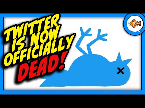 Twitter is Officially DEAD! Elon Musk Rebrands it as X?!
