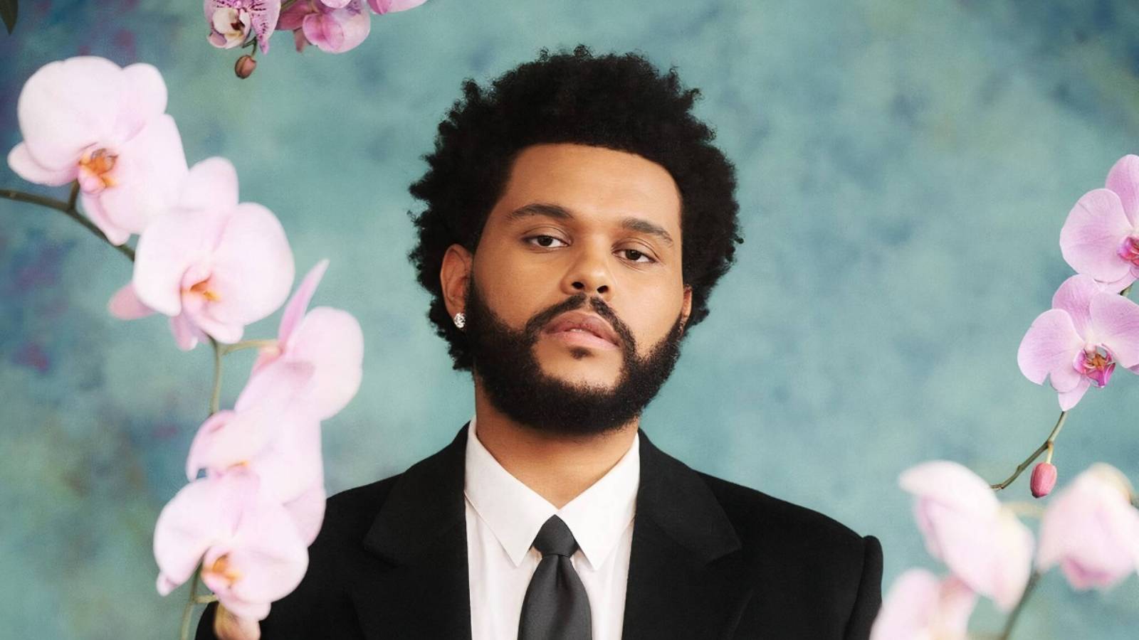 The Weeknd Net Worth 2024, Charity, Awards, Girlfriend, House And More