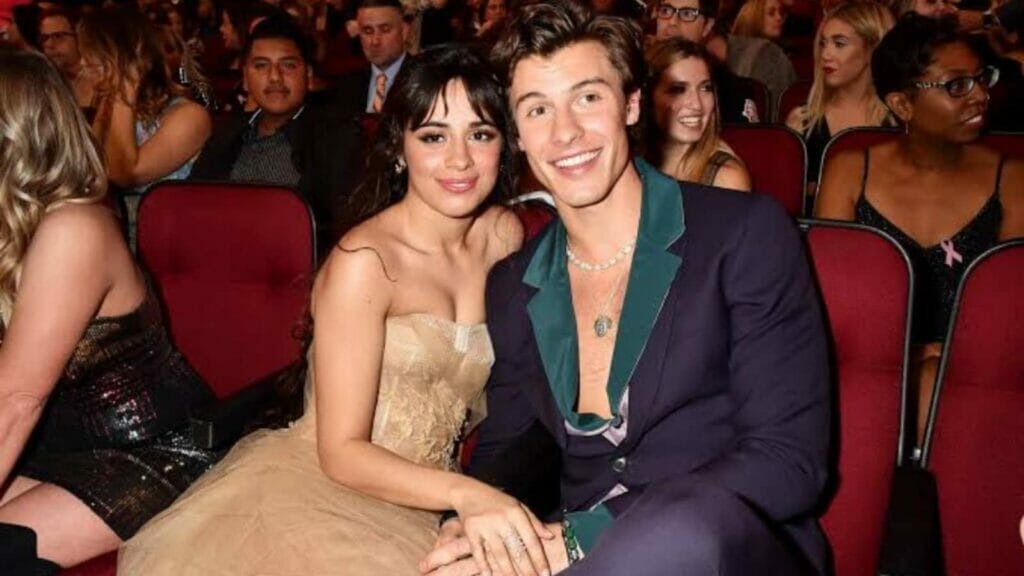 Camilla Cabello and Shawn Mendes Break Up