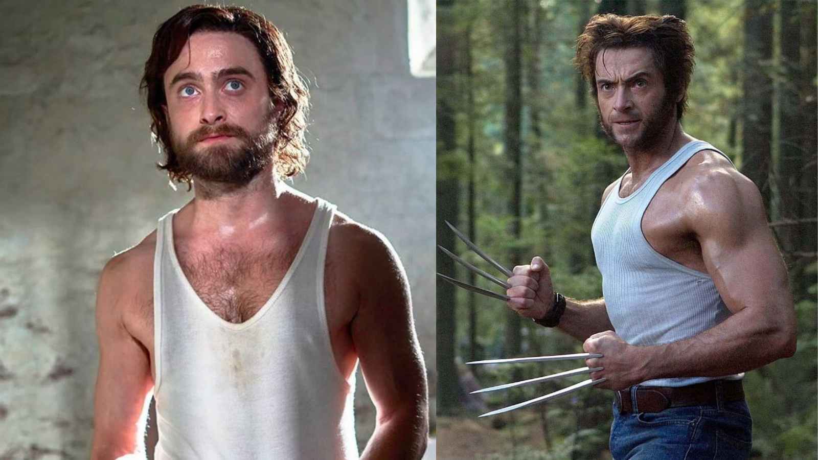 Fans cast Daniel Radcliffe as Wolverine 