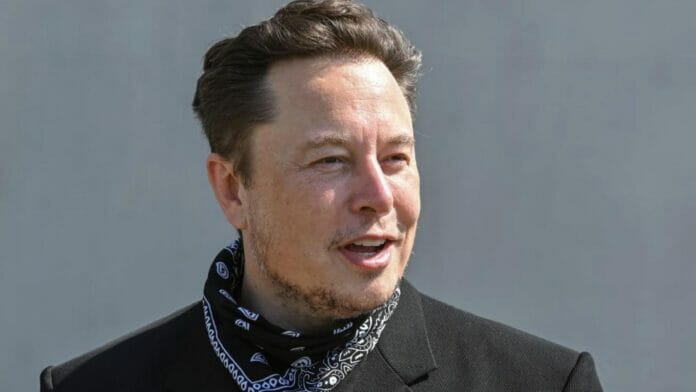 Elon Musk concerned over declining birth rates
