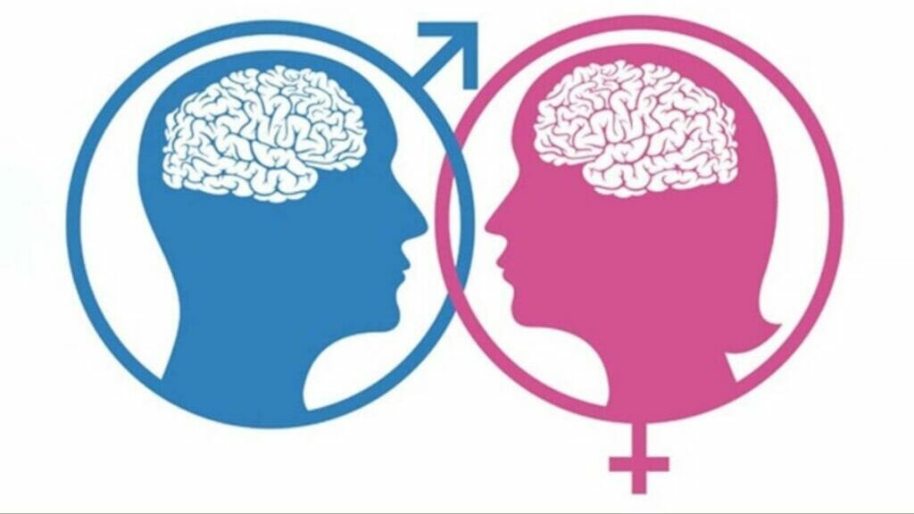 Male vs Female Brain