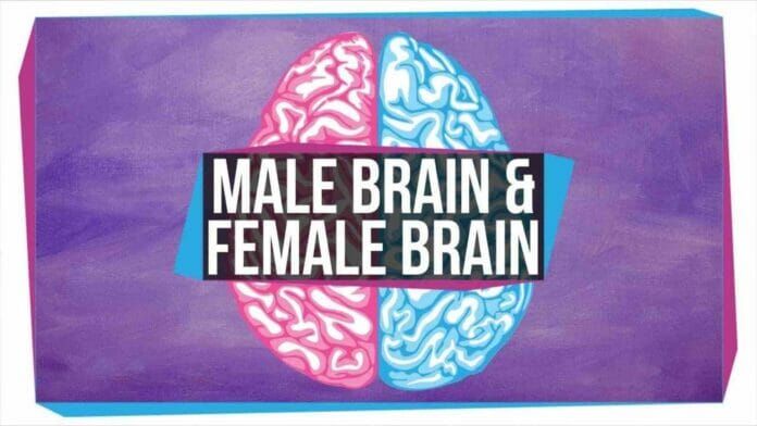 Is your Brain Male or Female?