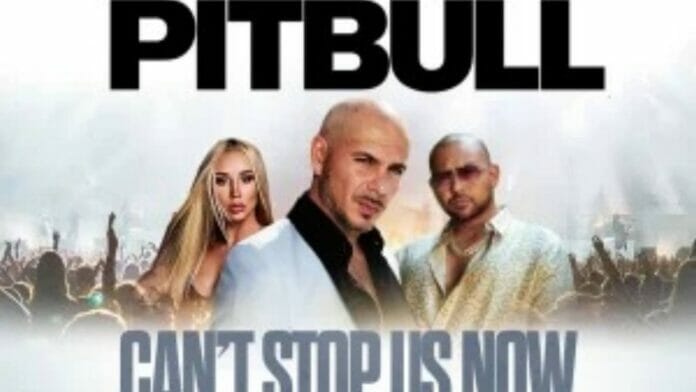 Pitbull's New Tour Along With Sean Paul And Iggy