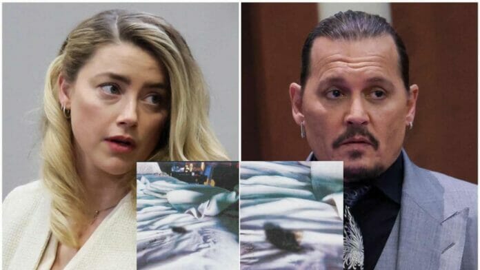 ‘Amber Turd’ Goes Viral After Johnny Depp Testifies Amber Heard Covered His Bed in Poop as Revenge