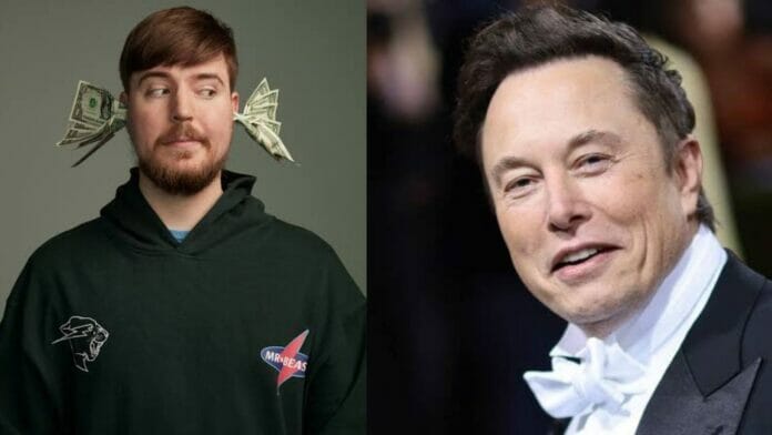 MrBeast and Elon Musk