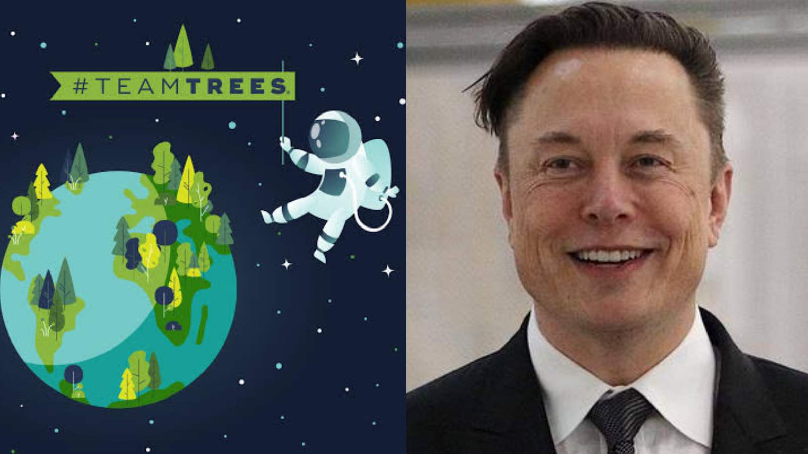 Elon Musk donated to #TeamTrees