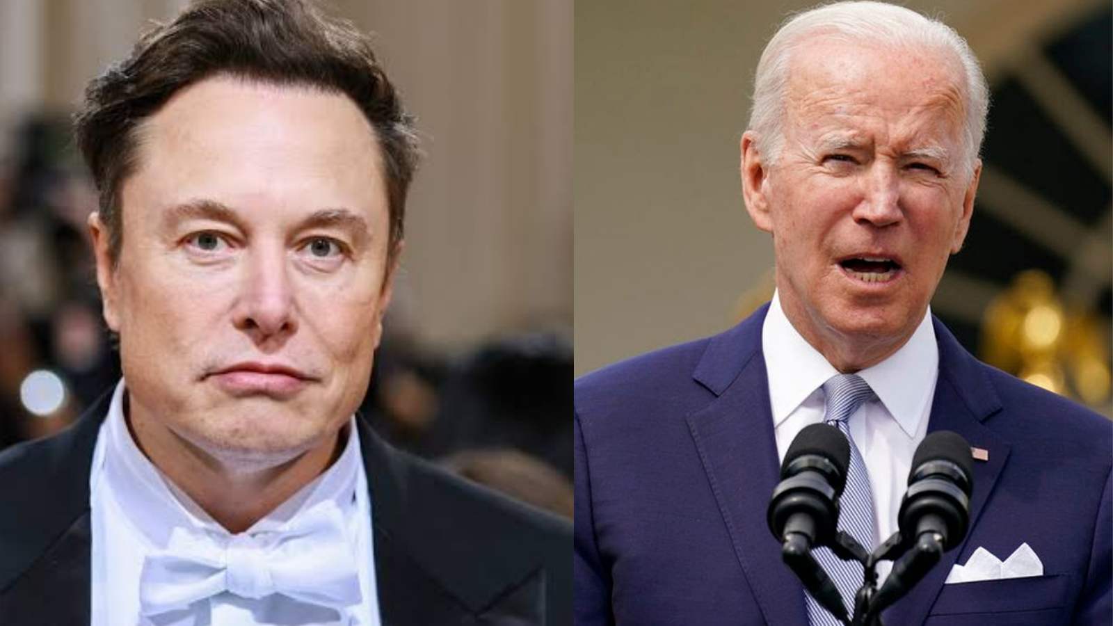 Elon Musk and Joe Biden